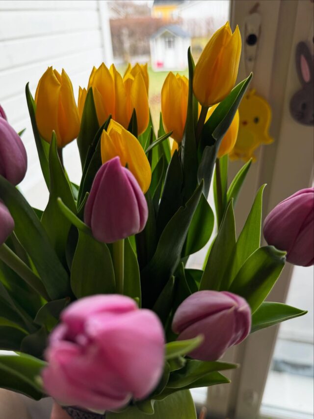 Rentouttavaa pääsiäisen aikaa!💐🐰🐣Palaan hoitojen pariin jälleen tiistaina 22.4.Ps.muistakaa aurinkosuoja!🧴☀️😎#pääsiäinen #kosmetologihämeenlinna #kauneushoitolahämeenlinna #ihohuoltamo